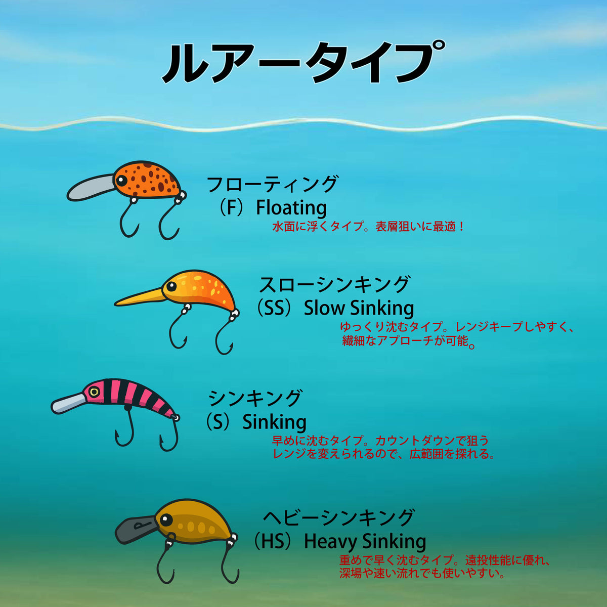 ZASSI ヒョウアザラシ