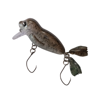 ZASSI ヒョウアザラシ